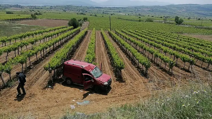 Sarıgöl’de kaza yapan araç üzüm bağına düştü: 2 yaralı
