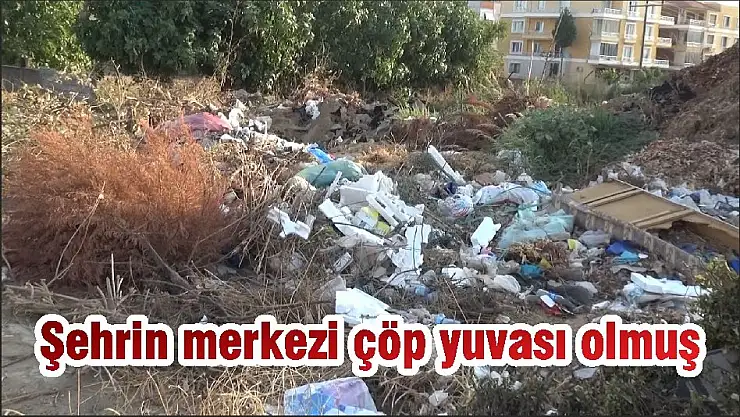 Şehrin merkezi çöp yuvası olmuş
