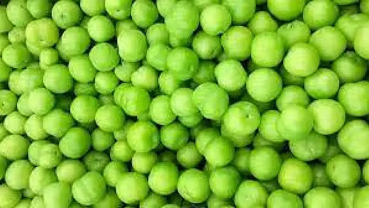 Sevilen meyve erik ve faydaları