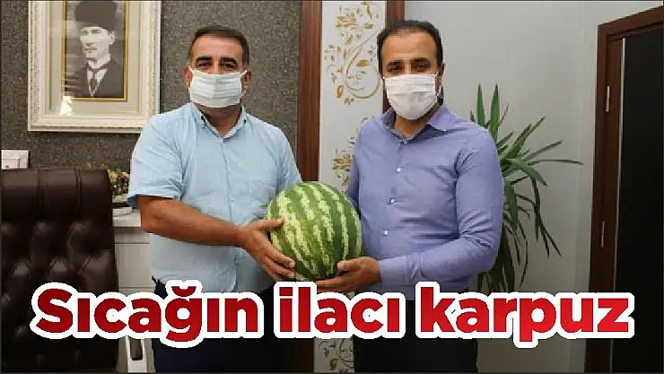 Sıcağın ilacı karpuz