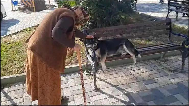SOĞUK HAVALARDA YÜREĞİMİZİ ISITAN GÖRÜNTÜLER