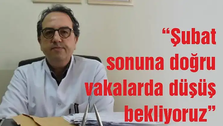 'Şubat sonuna doğru vakalarda düşüş bekliyoruz'