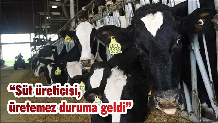 'Süt üreticisi, üretemez duruma geldi'