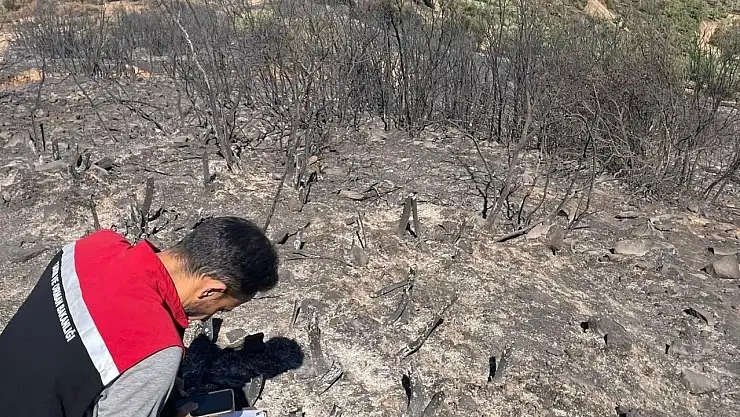 Tire Alacalı'da Yangın Sonrası Hasar Tespiti Başladı