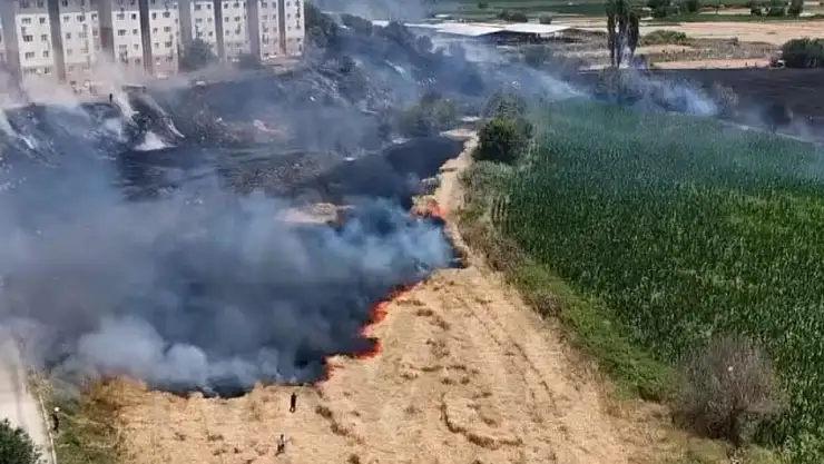 Tire'de TOKİ Bölgesinde Korkutan Yangın: Alevler Geniş Alana Yayıldı