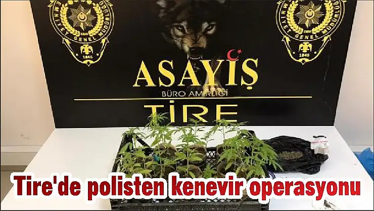 Tire'de polisten kenevir operasyonu