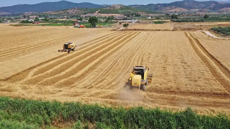 Torbalı Belediyesi, Kendi Tarlalarında Yetiştirdiği Buğdayı İhtiyaç Sahiplerine Dağıtıyor