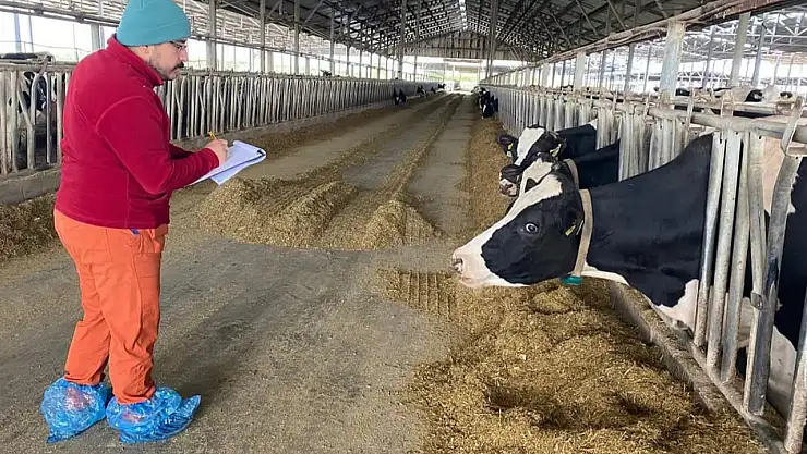 Torbalı'da Hayvancılıkta Sağlık ve Güvence Ön Planda