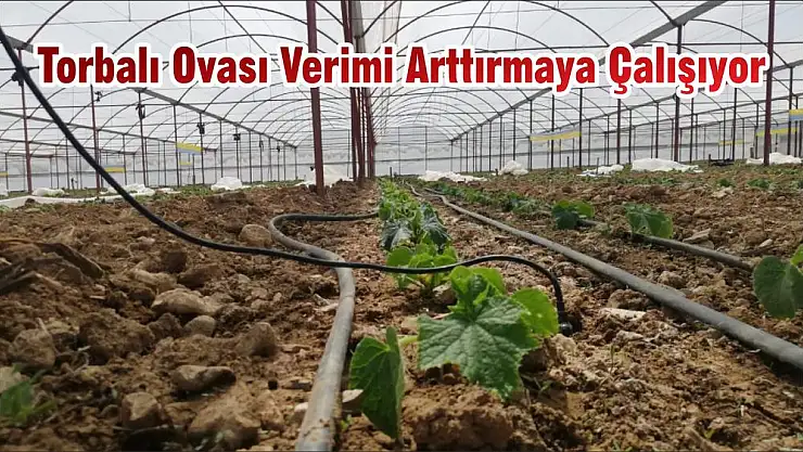 Torbalı Ovası Verimi Arttırmaya Çalışıyor