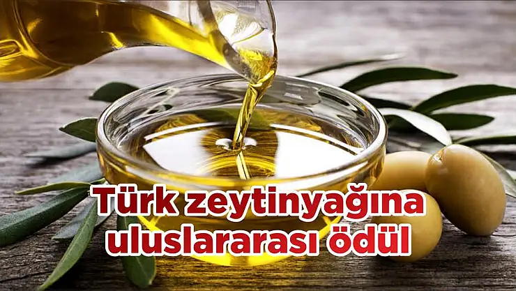 Türk zeytinyağına uluslararası ödül