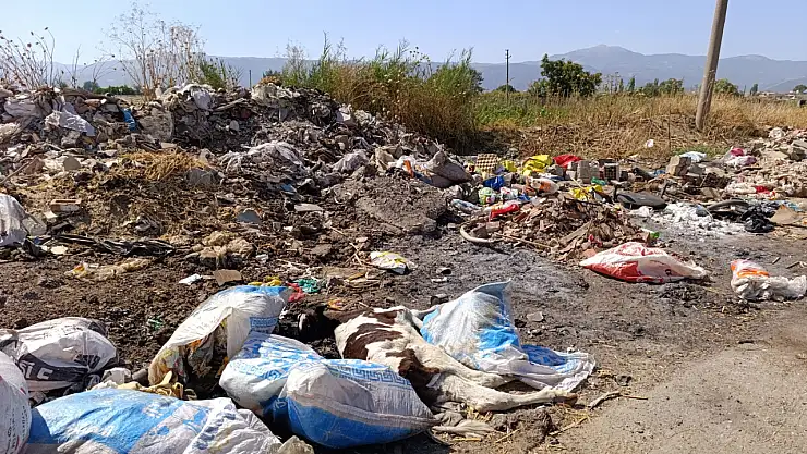 ÜÇ EYLÜL MAHALLESİ'NDE ÖLÜ HAYVANLAR VE İNŞAAT ATIKLARI TEHLİKE SAÇIYOR