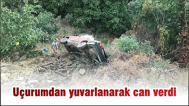 Uçurumdan yuvarlanarak can verdi