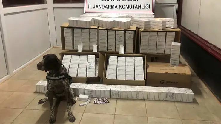 UYGULAMA NOKTASINDA BİNLERCE SENTETİK HAP ELE GEÇİRİLDİ