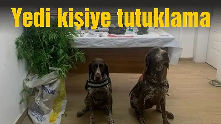 Yedi kişiye tutuklama