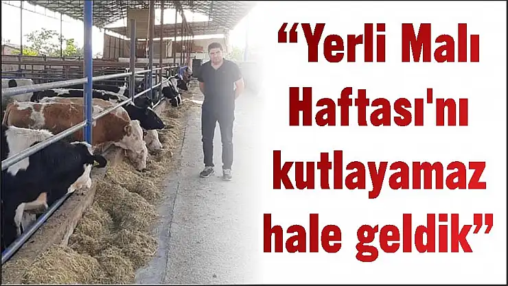 'Yerli Malı Haftası'nı kutlayamaz hale geldik'