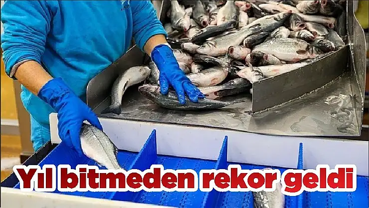 Yıl bitmeden rekor geldi