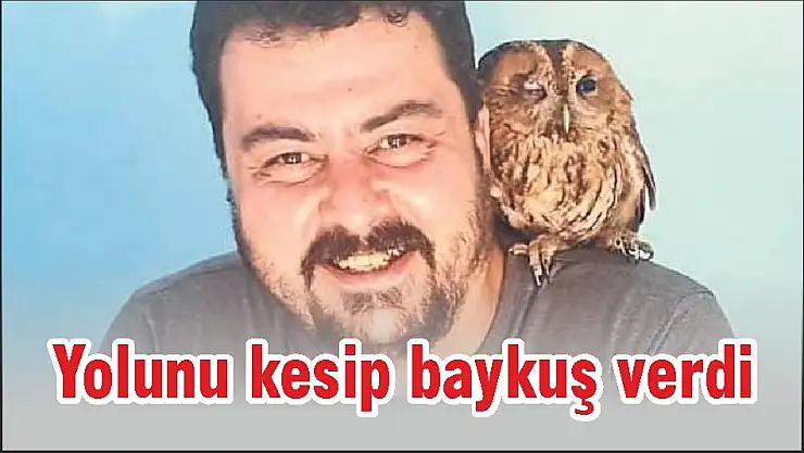 Yolunu kesip baykuş verdi