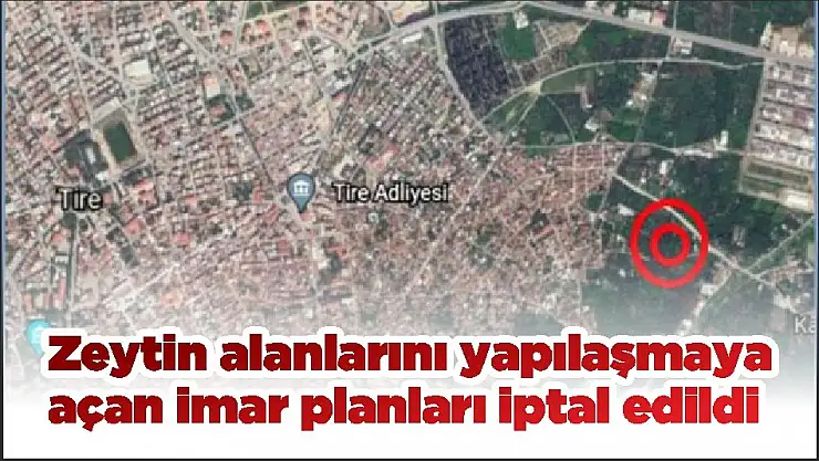 Zeytin alanlarını yapılaşmaya açan imar planları iptal edildi