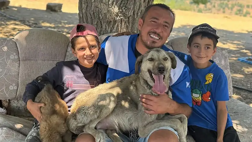 Alevlerin Arasından Umuda: Anne Köpek ve Yavrusu Kurtarıldı