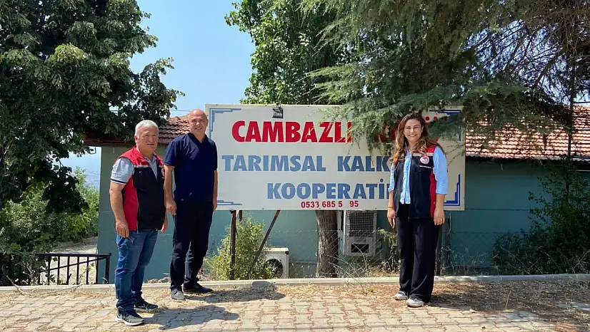 Cambazlı'da Ekşi Karadut Hasadı Devam Ediyor