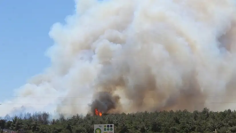 Çanakkale-İzmir Yolunda Korkutan Yangın! Alevler Güzelyalı ve Dardanos'u Tehdit Ediyor