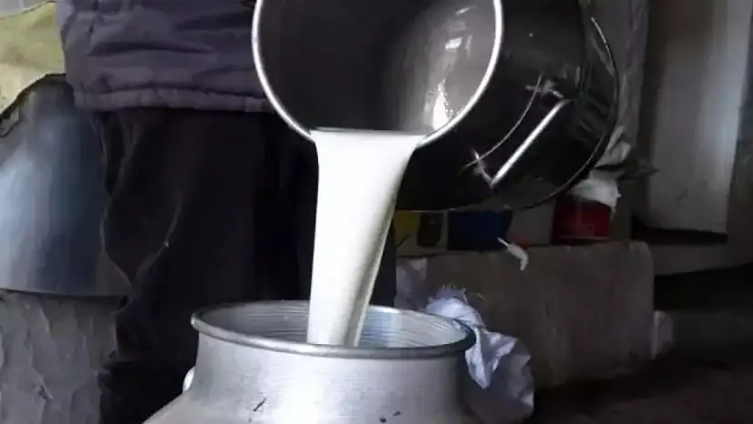 ÇİĞ SÜTTE YENİ FİYAT BELLİ OLDU: ÜRETİCİYE 22,22 LİRA