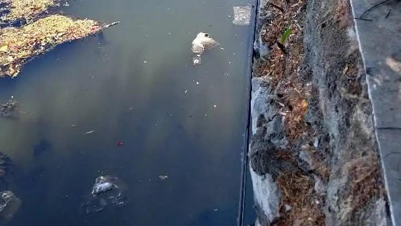Doğa Göz Göre Göre Kirleniyor: Gölcük Gölü'nde Çöp Manzarası