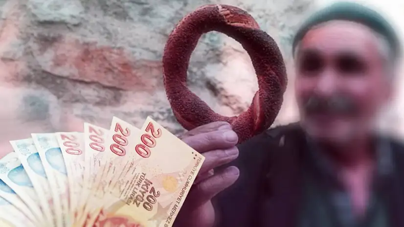 Emekliye Zam, TSK'ya Düzenleme, Turizme Esneklik! Torba Yasa Meclis'ten Geçti