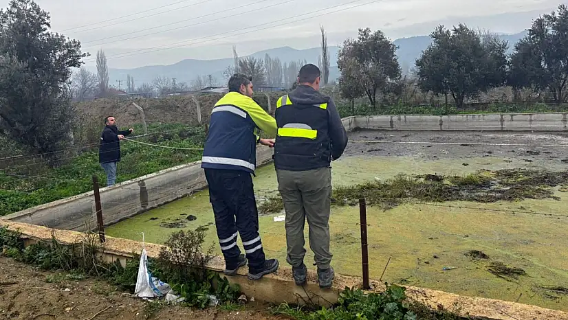 HAVUZDA MAHSUR KALAN TİLKİYİ TİRE BELEDİYESİ EKİPLERİ KURTARDI