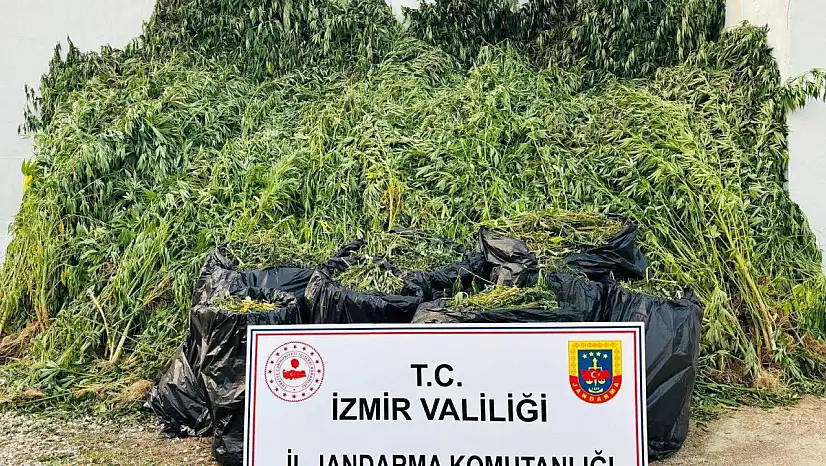 İzmir'de Jandarma'dan Uyuşturucu Operasyonu: 87 Şüpheli Yakalandı