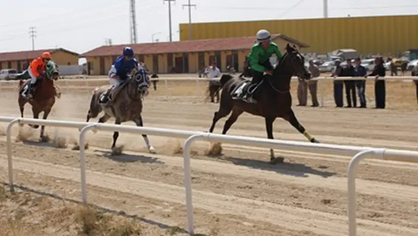 Konya'da Nefes Kesen Gelenek: 48. Rahvan At Yarışları 27 Temmuz'da Gerçekleşiyor