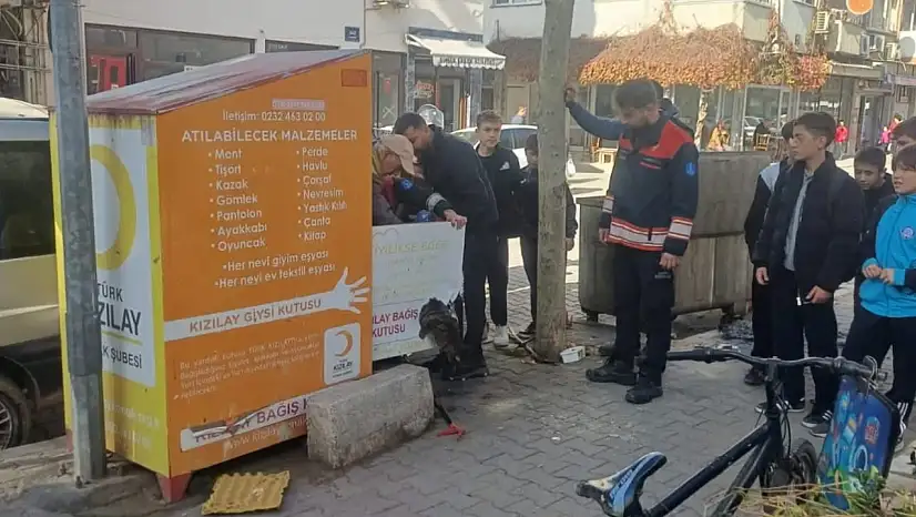 ÖDEMİŞ'TE KIZILAY BAĞIŞ KUTUSUNA SIKIŞAN KEDİ KURTARILDI