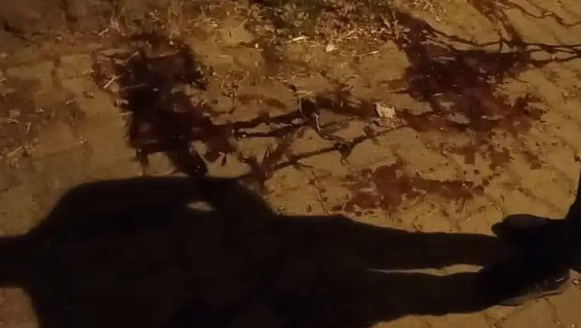 Ödemiş'te Silahlı Saldırı: Üç Kardeş Hayatını Kaybetti