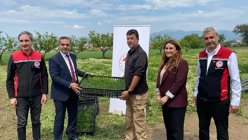 Ödemiş ve Tire'de Üreticiye 17 Bin Kuşkonmaz Fidesi Desteği