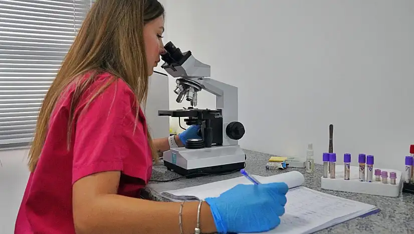 Sokak hayvanları bu hastanede şifa buluyor