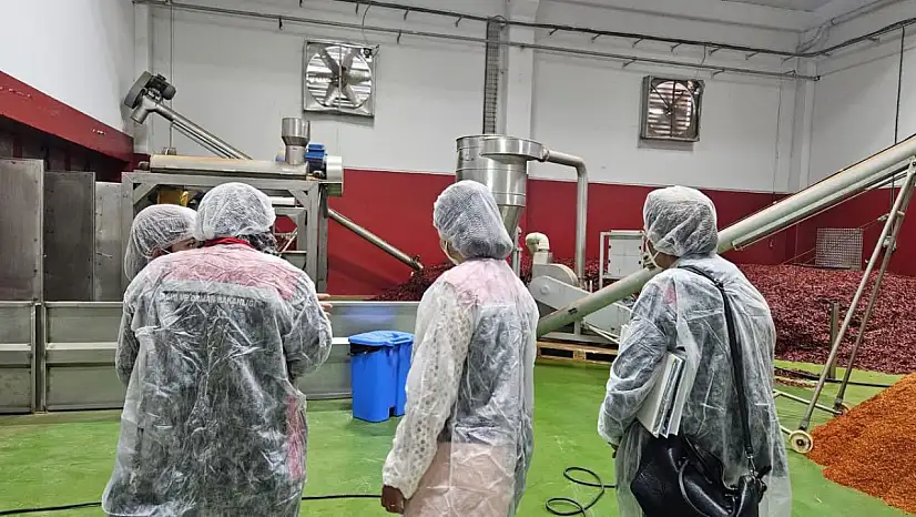 Tire'de Baharat İşleme Tesisine Denetim