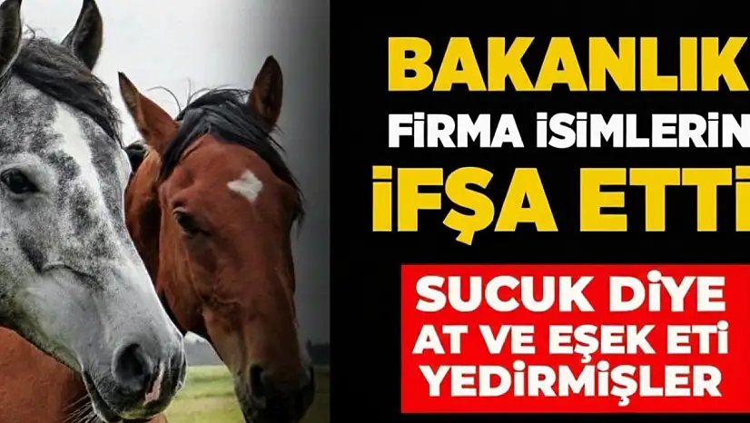 VATANDAŞA AT ETİ YEDİRMİŞLER! BAKANLIK MARKAYI VE ÜRETİLDİĞİ İLİ AÇIKLADI