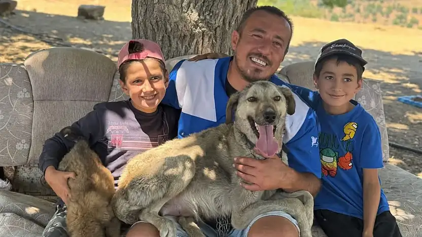 Alevlerin Arasından Umuda: Anne Köpek ve Yavrusu Kurtarıldı