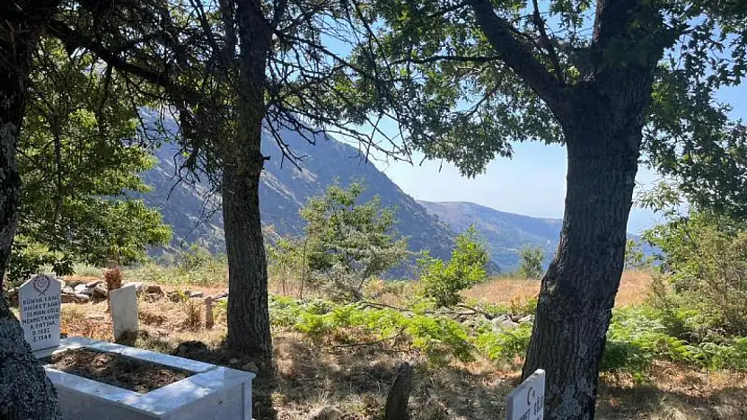 BADEMLİ KERVAN YAYLASI MEZARLIĞI SAHİPSİZ Mİ KALDI? YOL YOK, BAKIM YOK, MEZARLAR OTLAR ARASINDA KAYBOLMUŞ DURUMDA