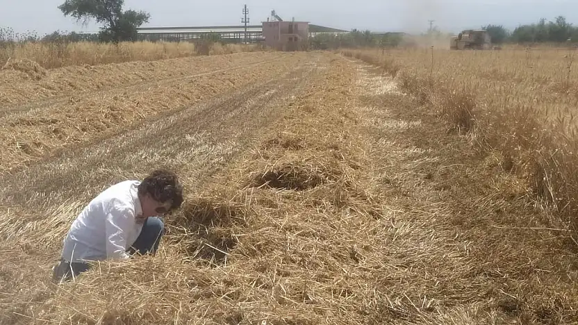 Bayındır'da Hasat Dönemi İçin Biçerdöver Denetimleri Sürüyor