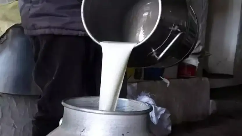 ÇİĞ SÜTTE YENİ FİYAT BELLİ OLDU: ÜRETİCİYE 22,22 LİRA