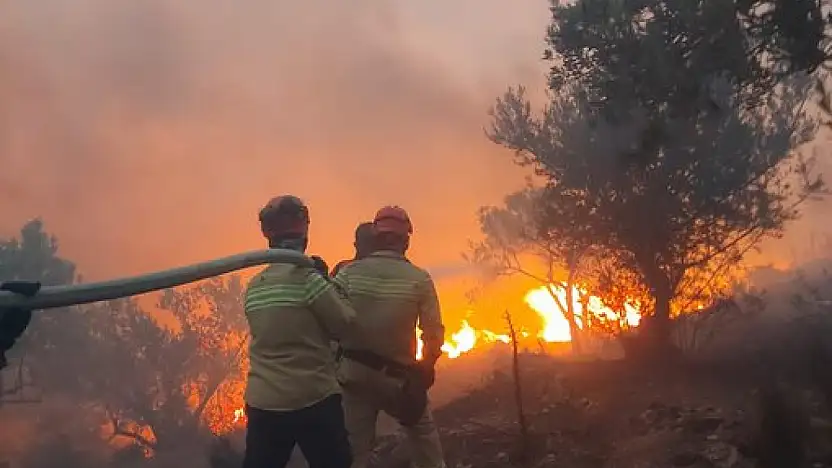 İzmir'de Alev Alarmı: Yangınlar Sürüyor, Tahliyeler Başladı