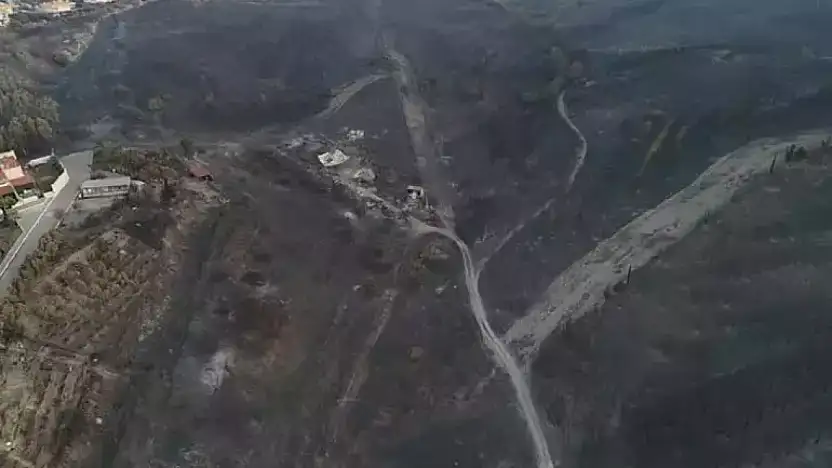 İzmir, Manisa ve Hatay'da Orman Yangınları Devam Ediyor: Tahliyeler ve Kritik Müdahale