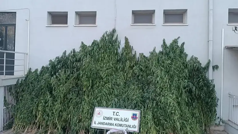 Kiraz'da jandarmadan uyuşturucu operasyonu: 1 kişi yakalandı
