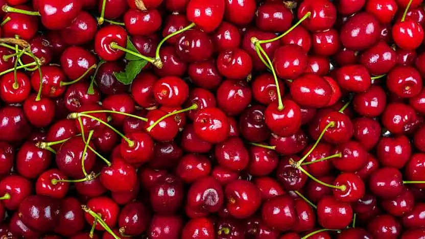Kirazın Kilosu 500 Lirayı Gördü: Yaz Meyvesi Lükse Dönüştü