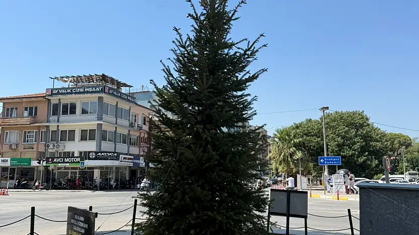 MEZARBAŞI'NDA KURUYAN YILBAŞI ÇAMI YENİLENDİ