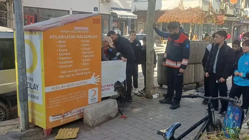 ÖDEMİŞ'TE KIZILAY BAĞIŞ KUTUSUNA SIKIŞAN KEDİ KURTARILDI