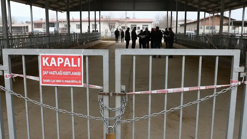Ödemiş'te şap hastalığı kısıtlamaları güncellendi