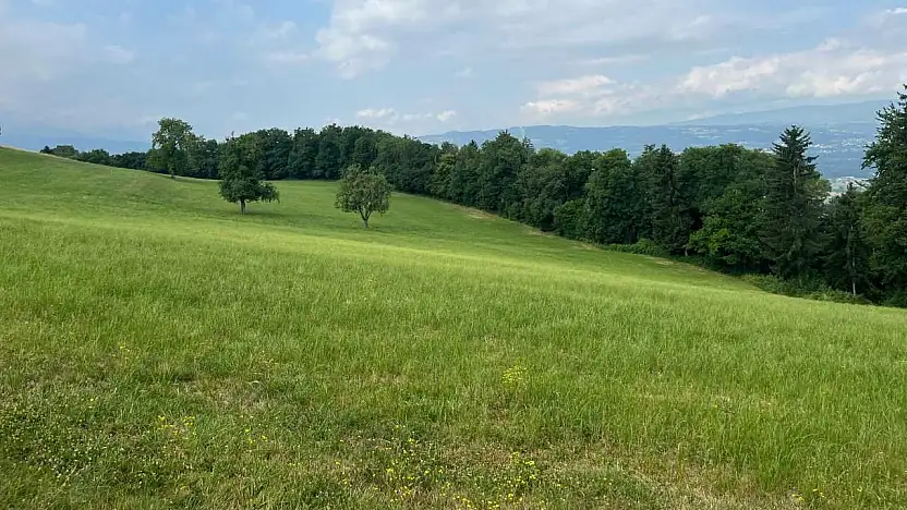 Ödemiş'te Taş Ocağına İzin Çıkmadı