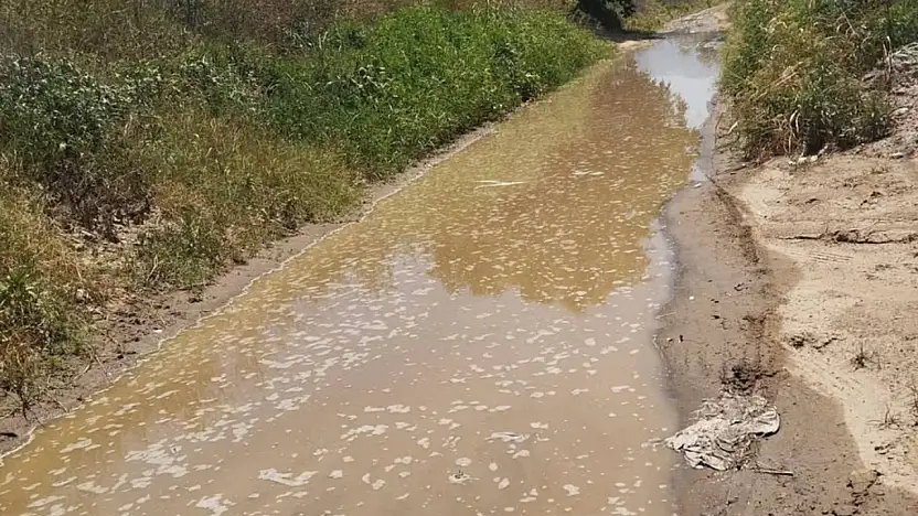 Ödemiş Umurbey'de Su İsrafı Göz Göre Göre: Vahşi Sulama Krizi Büyüyor